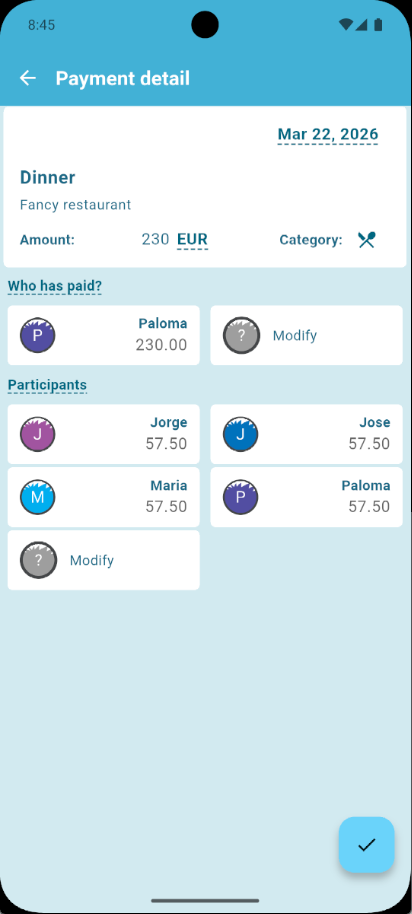 Debtster-Zahlungsdetail