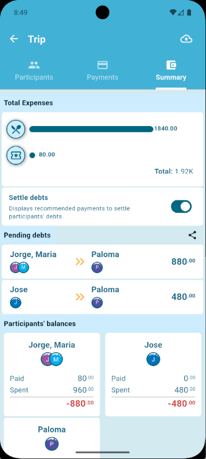Debtster summary screen with balances